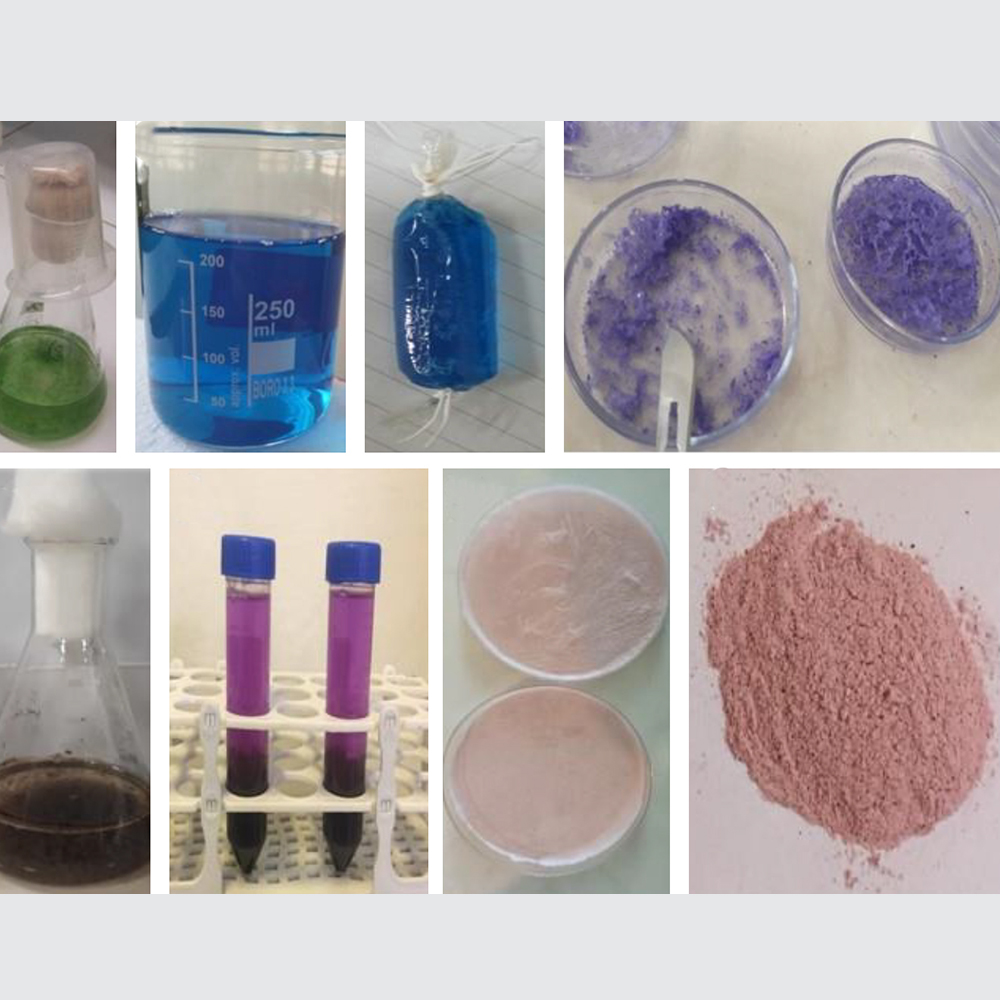 Estudo da Atividade Antimicrobiana e Antioxidante de Gel Antiacne para o Rosto, Gel Desinfetante para as Mãos e Sabão Feitos com Ficocianina e Ficoeritrina